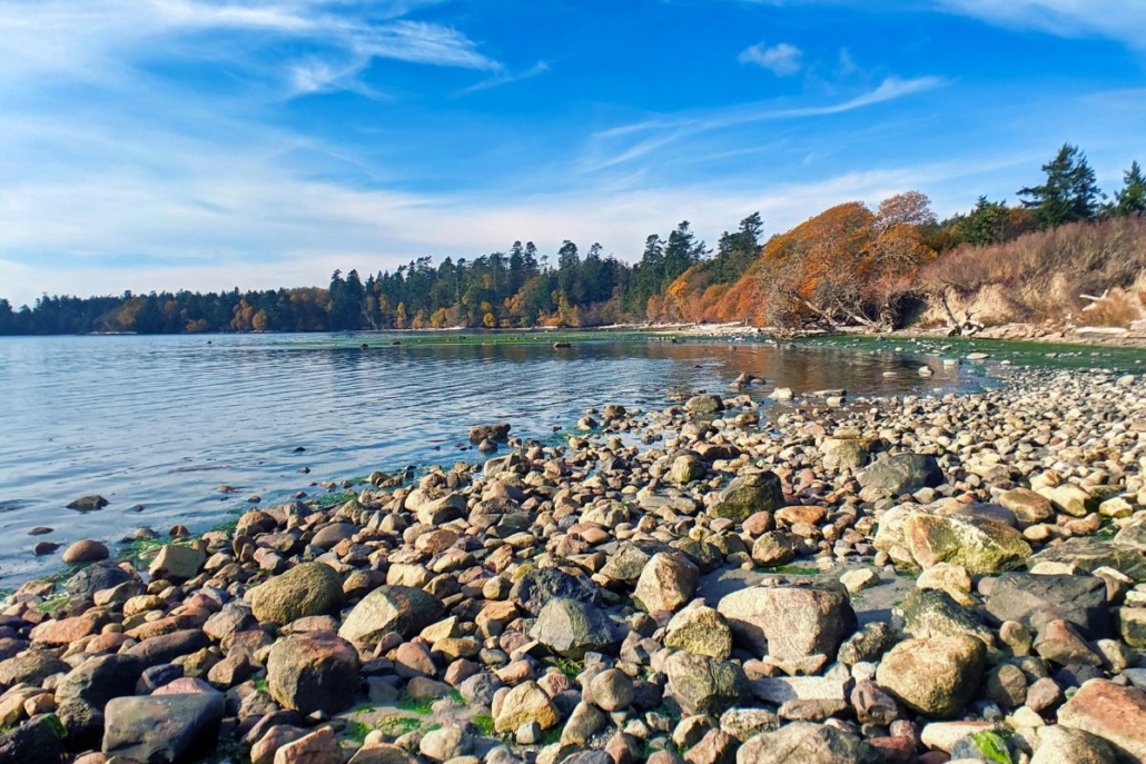 False-Bay.-San-Juan-Islands.-Colleen-Michaels-1030x687