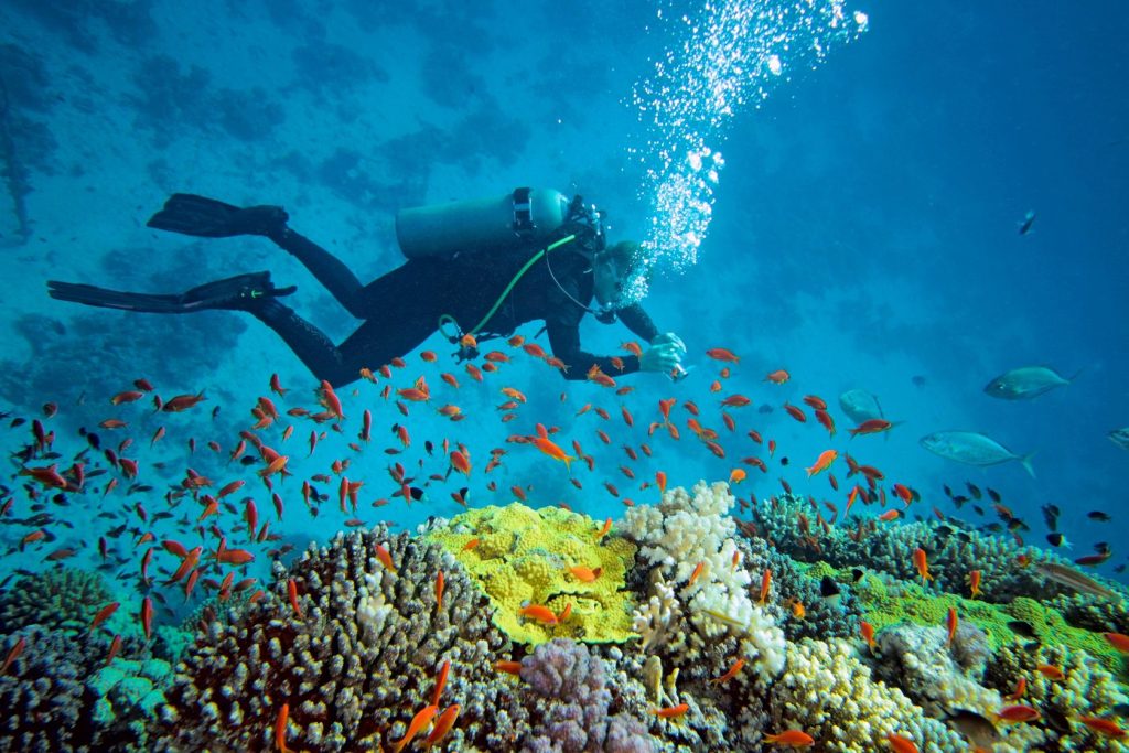 Scuba-Diving-South-Africa-Tours-1-1024x683