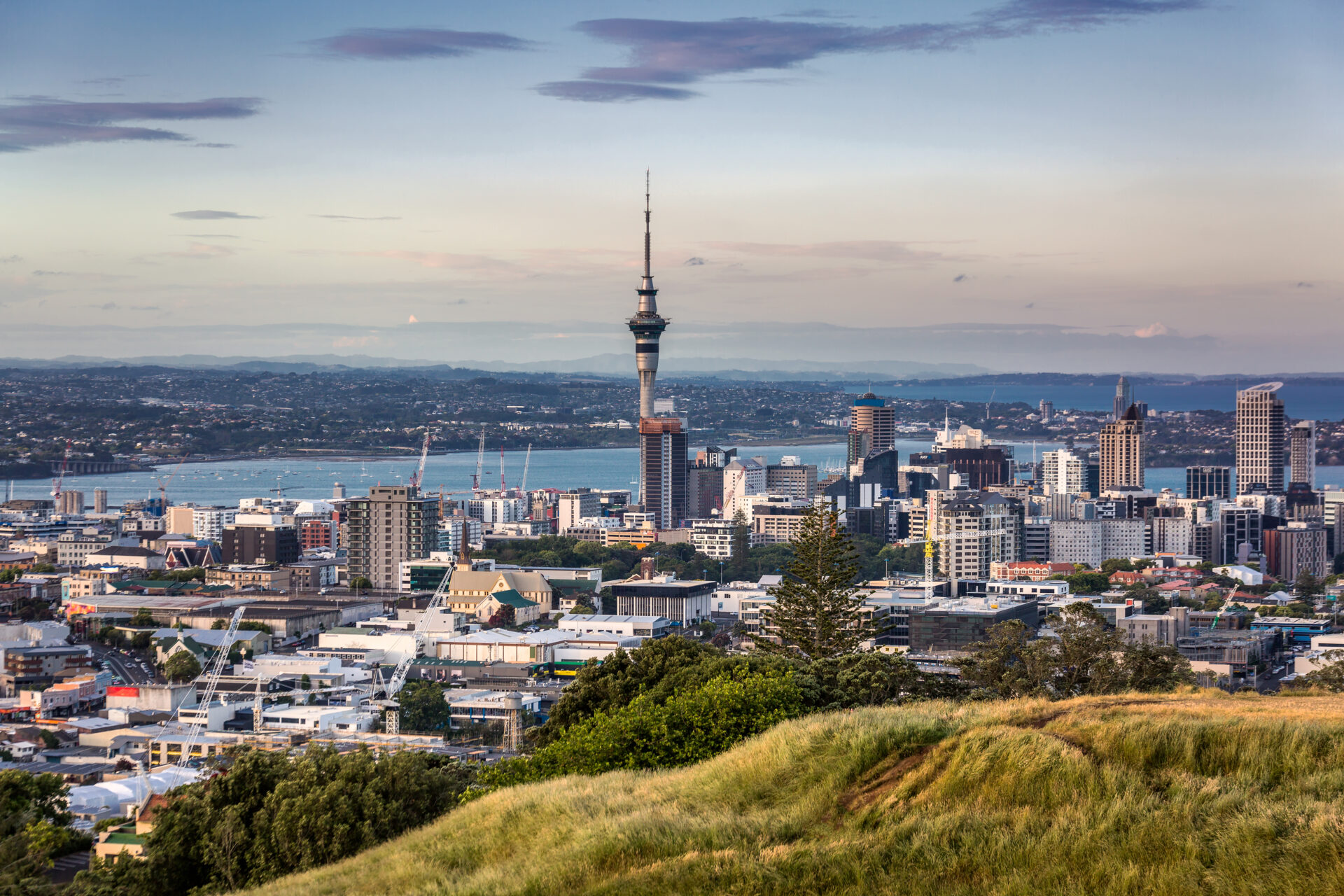 City night scape from high vintage point at sunset in Auckland, New Zealand.