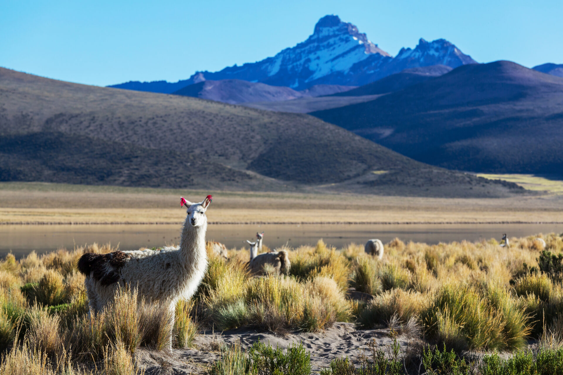 High mountains in Bolivia