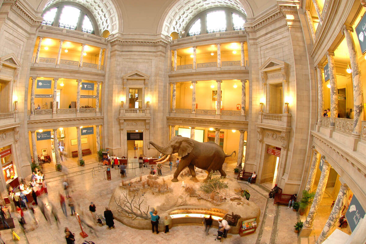 smithsonian-museum-natural-history